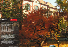 Juhász Gyula – Október