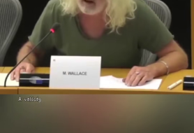 Mick Wallace – Kinek üzlet a háború ?