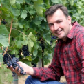 Günzer Tamás bora nyerte a XVIII. Szegedi Borfesztivál fődíját