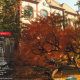 Őszök aranya – évszázados őszök Gyalunktól Őszök aranya – évszázados őszök Gyalunktól