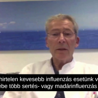 Dr. Köhnlein : Vírusőrület – Virus-Wahn