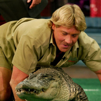 Steve Irwin a krokodílszelidítő