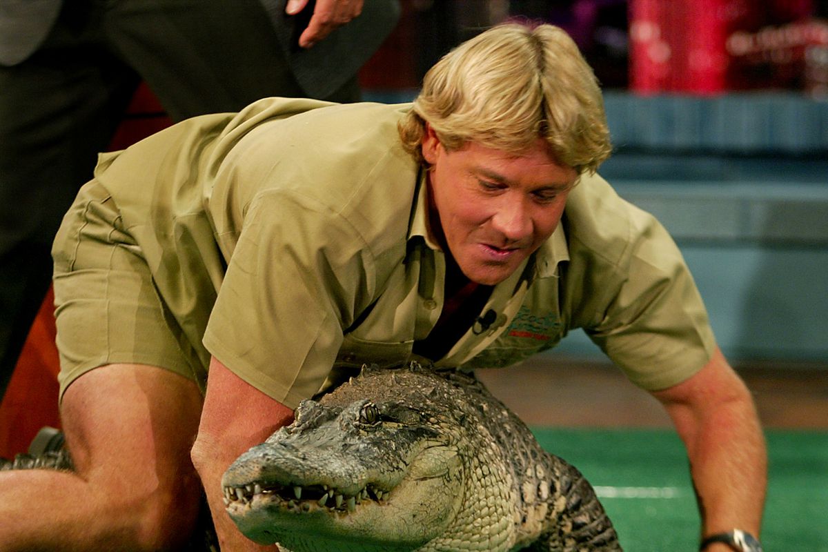 Steve Irwin appears with an alligator on the Tonight Show in 2002.