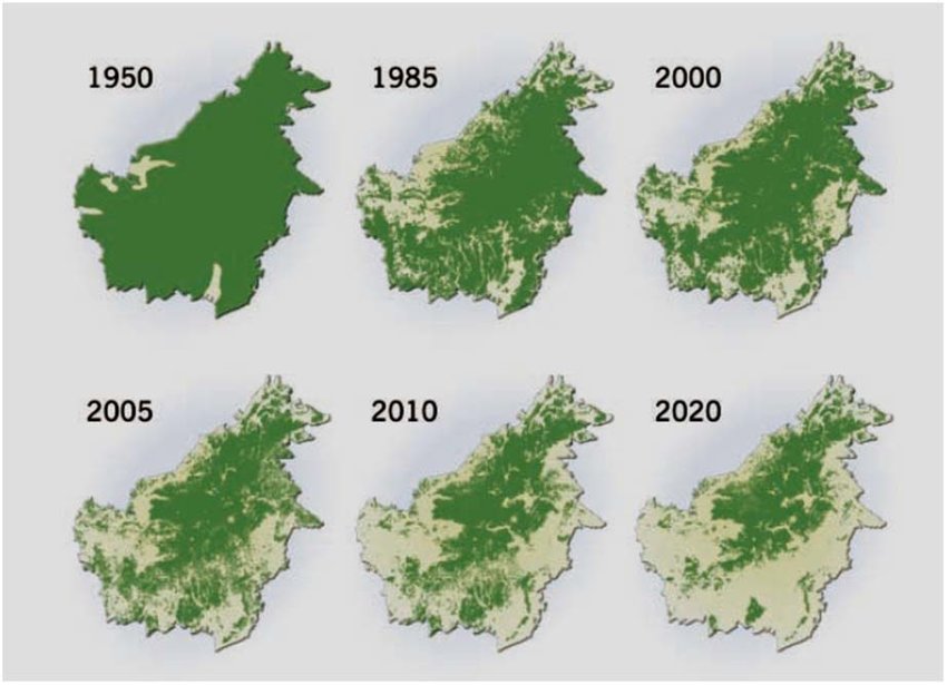 Extent of deforestation in Borneo 1950 – 2005, and Projection Towards... |  Download Scientific Diagram
